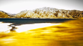 JAN C. BRETTSCHNEIDER