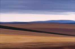 JAN C. BRETTSCHNEIDER