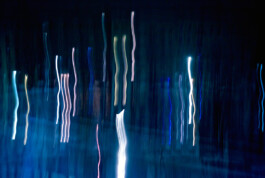 JAN C. BRETTSCHNEIDER