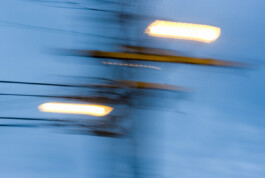 JAN C. BRETTSCHNEIDER