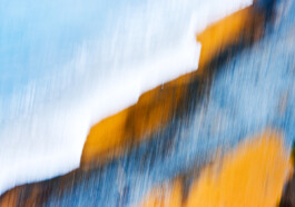 JAN C. BRETTSCHNEIDER