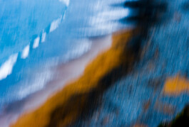 JAN C. BRETTSCHNEIDER