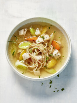 JAN C. BRETTSCHNEIDER