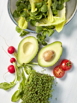 JAN C. BRETTSCHNEIDER