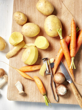 JAN C. BRETTSCHNEIDER