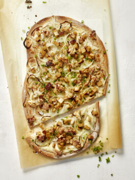 JAN C. BRETTSCHNEIDER