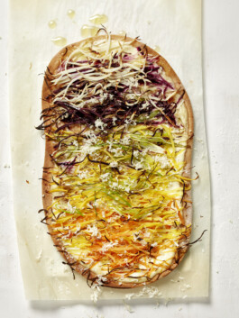 JAN C. BRETTSCHNEIDER