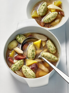 JAN C. BRETTSCHNEIDER