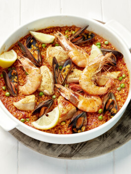 JAN C. BRETTSCHNEIDER