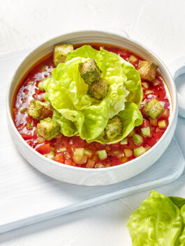 JAN C. BRETTSCHNEIDER