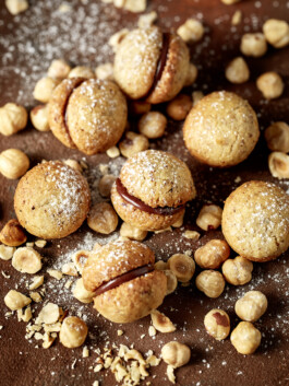 JAN C. BRETTSCHNEIDER