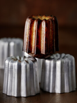 JAN C. BRETTSCHNEIDER