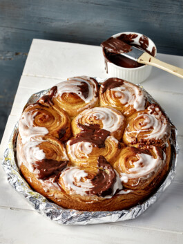 JAN C. BRETTSCHNEIDER