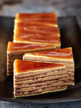 JAN C. BRETTSCHNEIDER