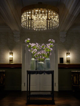 JAN C. BRETTSCHNEIDER