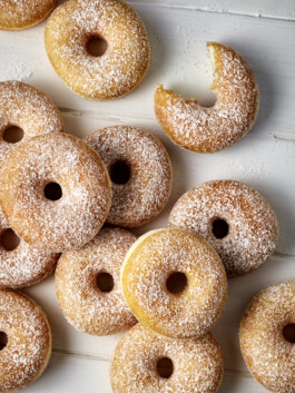 JAN C. BRETTSCHNEIDER