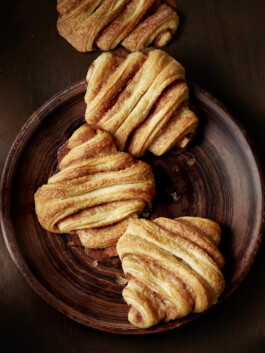 JAN C. BRETTSCHNEIDER