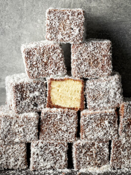 JAN C. BRETTSCHNEIDER