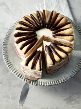 JAN C. BRETTSCHNEIDER