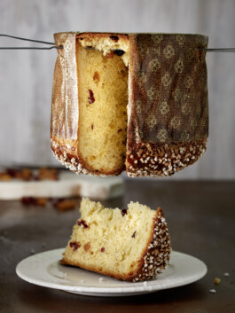 JAN C. BRETTSCHNEIDER