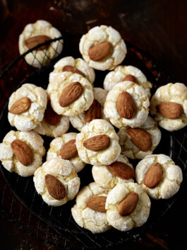 JAN C. BRETTSCHNEIDER