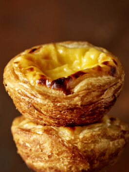 JAN C. BRETTSCHNEIDER