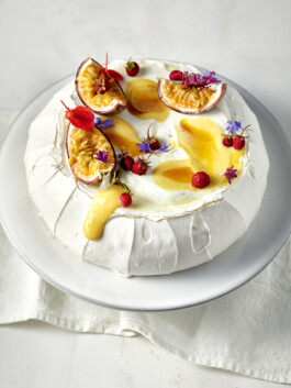 JAN C. BRETTSCHNEIDER