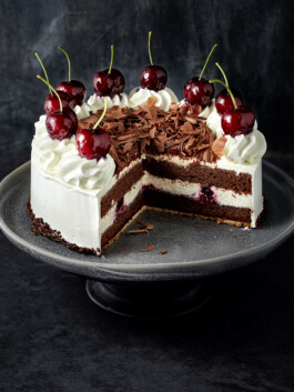 JAN C. BRETTSCHNEIDER