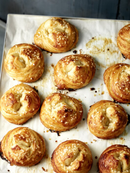 JAN C. BRETTSCHNEIDER