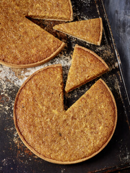 JAN C. BRETTSCHNEIDER