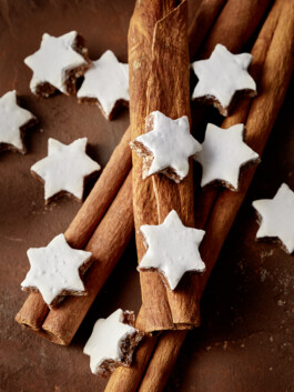 JAN C. BRETTSCHNEIDER