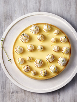 JAN C. BRETTSCHNEIDER