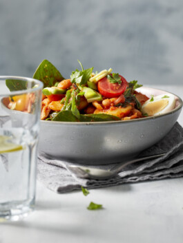 JAN C. BRETTSCHNEIDER