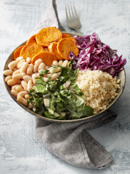 JAN C. BRETTSCHNEIDER