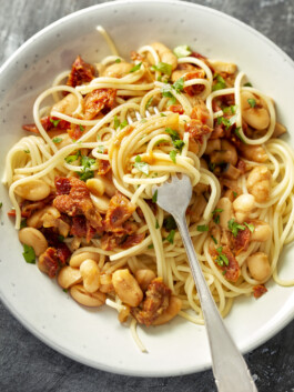 JAN C. BRETTSCHNEIDER