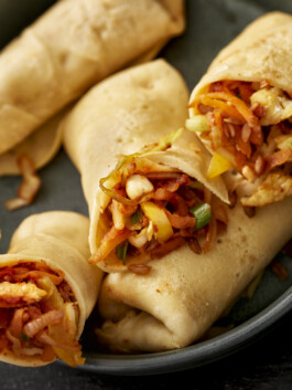 JAN C. BRETTSCHNEIDER