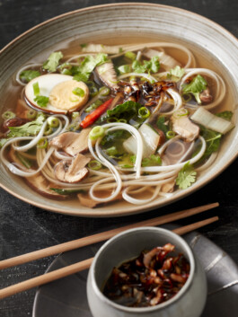 JAN C. BRETTSCHNEIDER