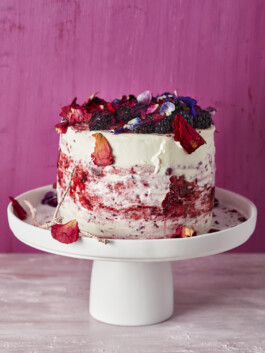 JAN C. BRETTSCHNEIDER