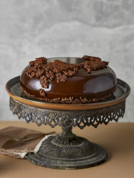 JAN C. BRETTSCHNEIDER