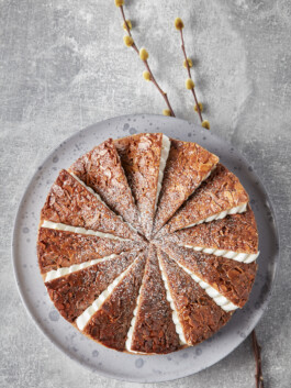 JAN C. BRETTSCHNEIDER