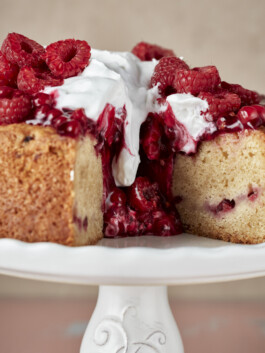 JAN C. BRETTSCHNEIDER