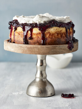 JAN C. BRETTSCHNEIDER