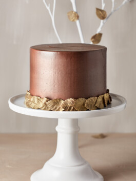 JAN C. BRETTSCHNEIDER