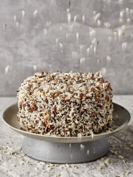 JAN C. BRETTSCHNEIDER