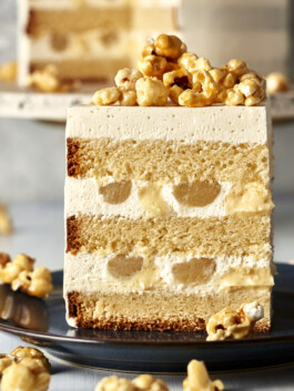 JAN C. BRETTSCHNEIDER