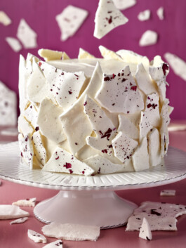 JAN C. BRETTSCHNEIDER