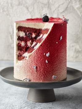 JAN C. BRETTSCHNEIDER