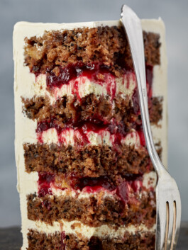 JAN C. BRETTSCHNEIDER