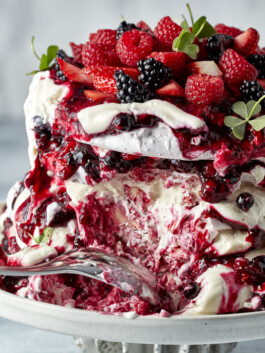 JAN C. BRETTSCHNEIDER