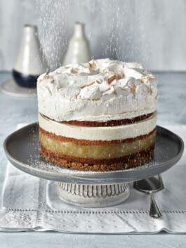 JAN C. BRETTSCHNEIDER